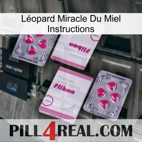 Léopard Miracle Du Miel Instructions 33.jpg